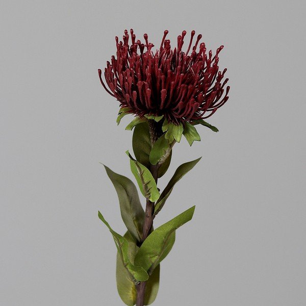 Kunstlill (kõrgus 74 cm) Protea - Ego Dekor