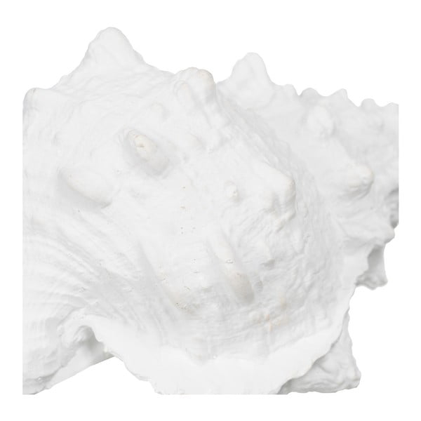Polüresiinist kuju (kõrgus 12 cm) Seashell - Ixia-image-1