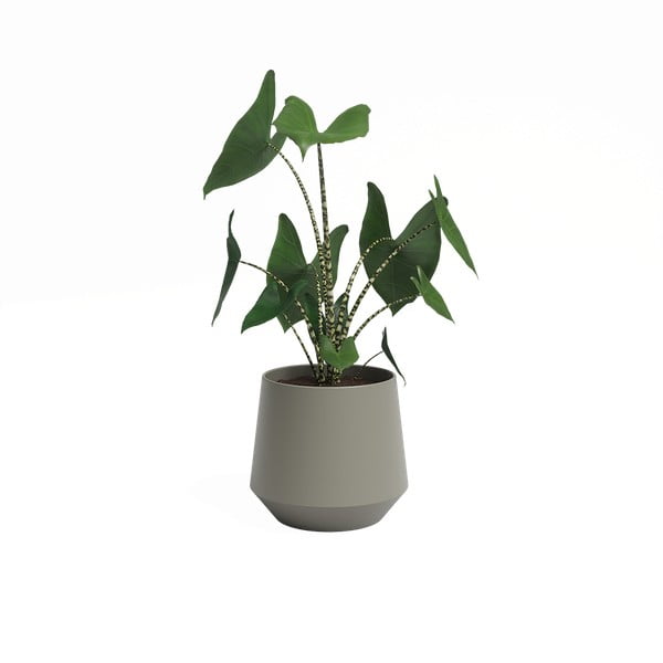 Keraamiline lillepott ø 17 cm Aurora - Artevasi-image-2