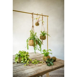 Lillepott ø 9 cm Kokedama - Esschert Design