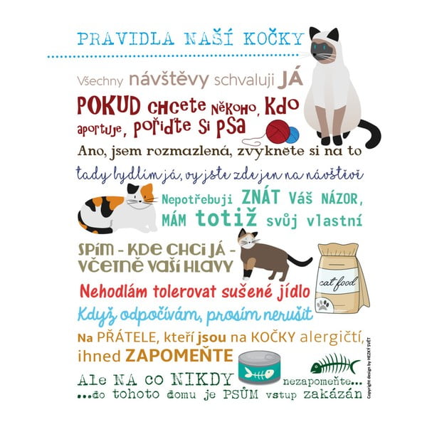 Plakát Hezký svět Pravidla vaší kočky, 50 x 40 cm