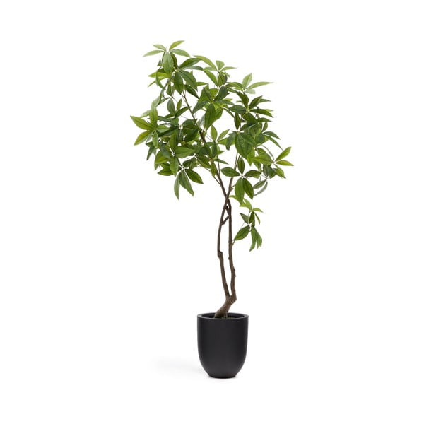 Kunsttaim (kõrgus 180 cm) Pachira - Kave Home