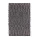 Hall villane vaip 160x230 cm Hague - Asiatic Carpets