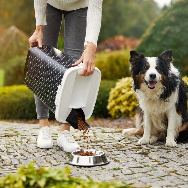 Must pelletikarp 25 l Cody - Rotho-image-2