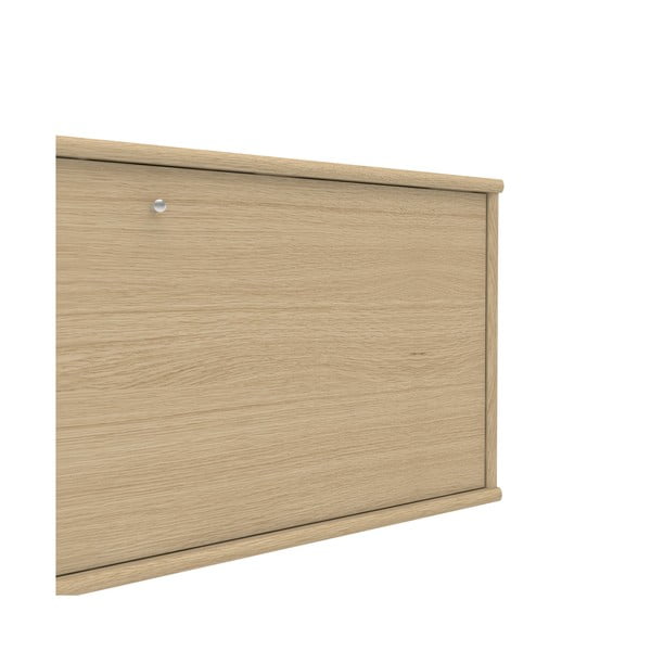 Tammega vooderdatud seinalaud 053 Mistral - Hammel Furniture-image-4