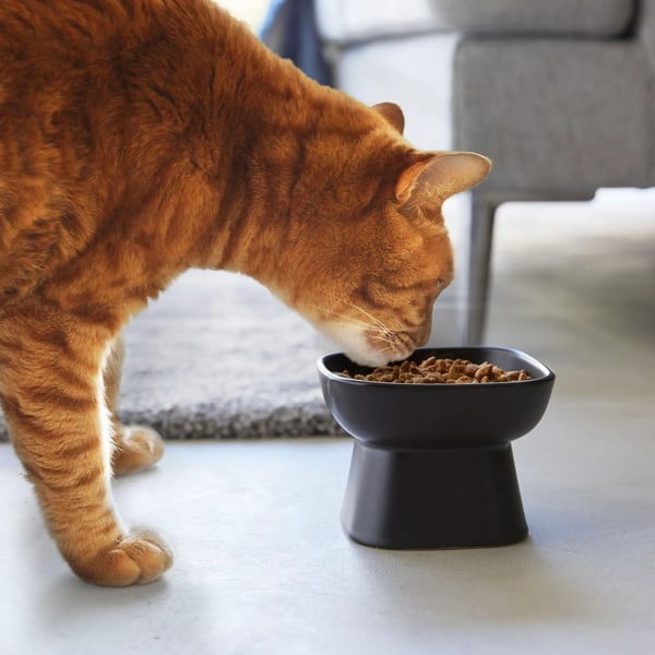 Keraamiline lemmiklooma kauss Tower - YAMAZAKI-image-1