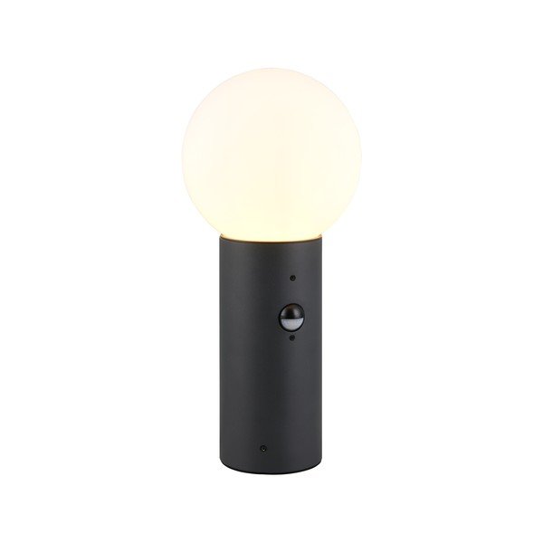 Liikumisanduriga õuevalgusti ø 18 cm Mures - Trio-image-4