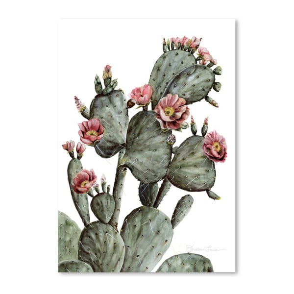 Plakát Americanflat Prickly Pear by Shealeen Louise, 30 x 42 cm