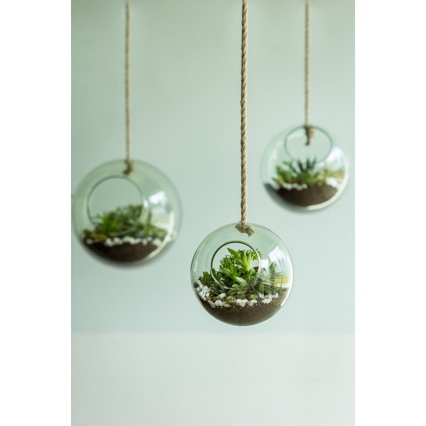Klaas terraarium ø 15 cm Ball – Esschert Design-image-1