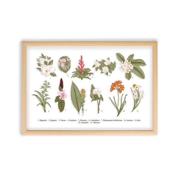 Pilt männipuidust raamiga , 50 x 70 cm Botanical Flowers - Surdic