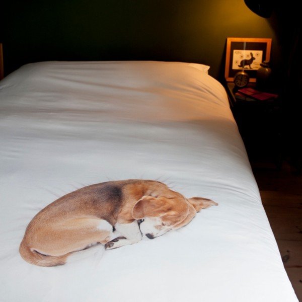 Bavlněné povlečení na jednolůžko Snurk Bob, 140 x 200 cm-image-2