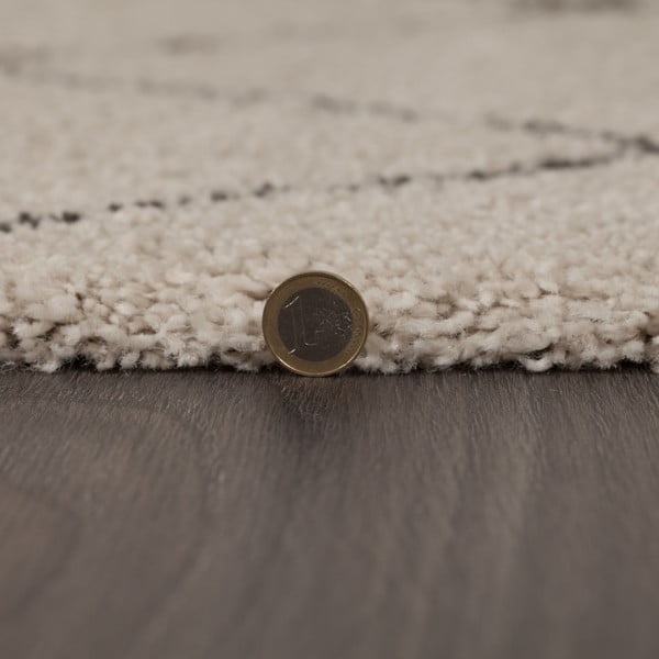 Beež vaip 160x230 cm Imari - Flair Rugs-image-4