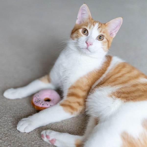 Kassi mänguasjade komplekt 3 tk Donuts – P.L.A.Y.-image-2