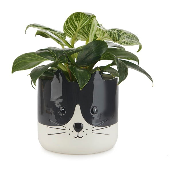Keraamiline pott ø 13,5 cm Kitty - Balvi-image-1