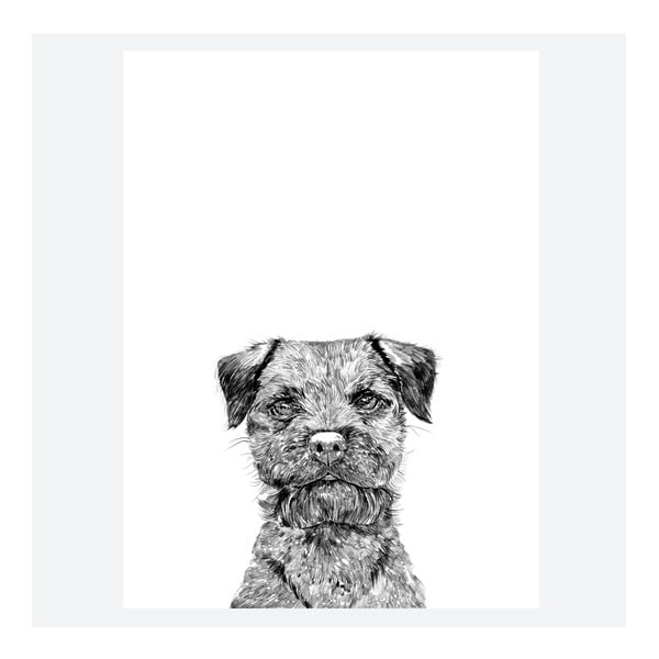 Plakát Baxter The Border Terrier, 30x40 cm