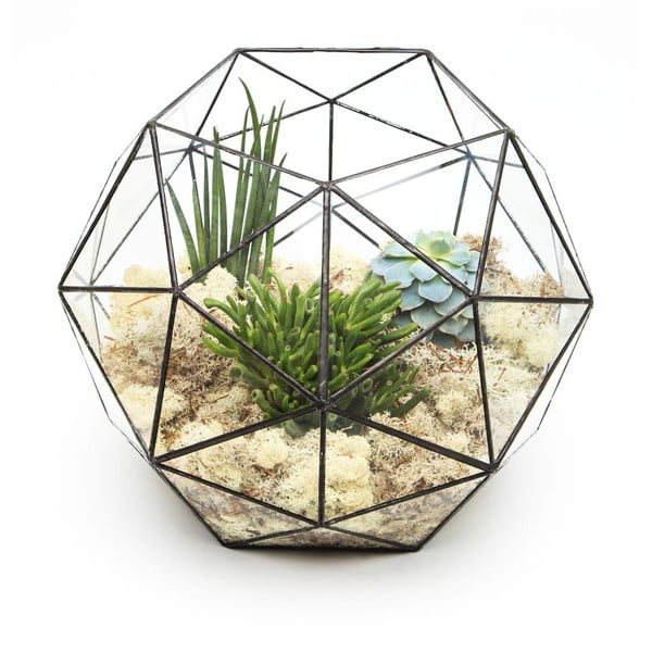 Terárium s rostlinami Urban Botanist Super Aztec Hexagon, tmavý rám