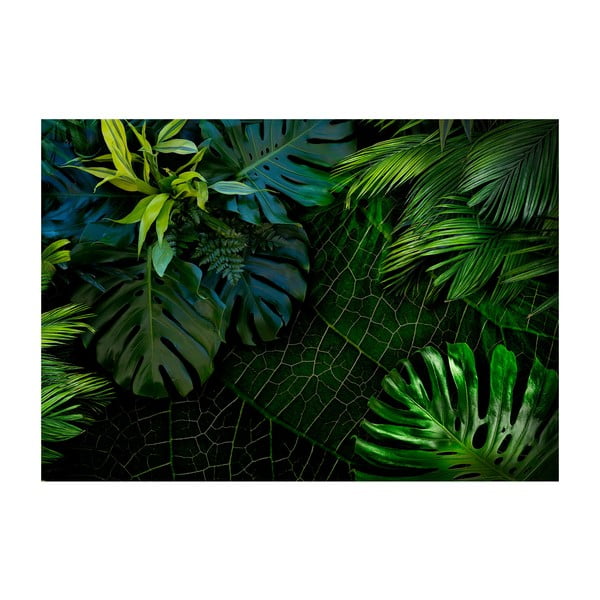 Suureformaadiline tapeet , 200 x 140 cm Dark Jungle - Artgeist