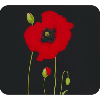 Karastatud klaasist seinakate pliidi äärde 50x56 cm Poppy - Maximex