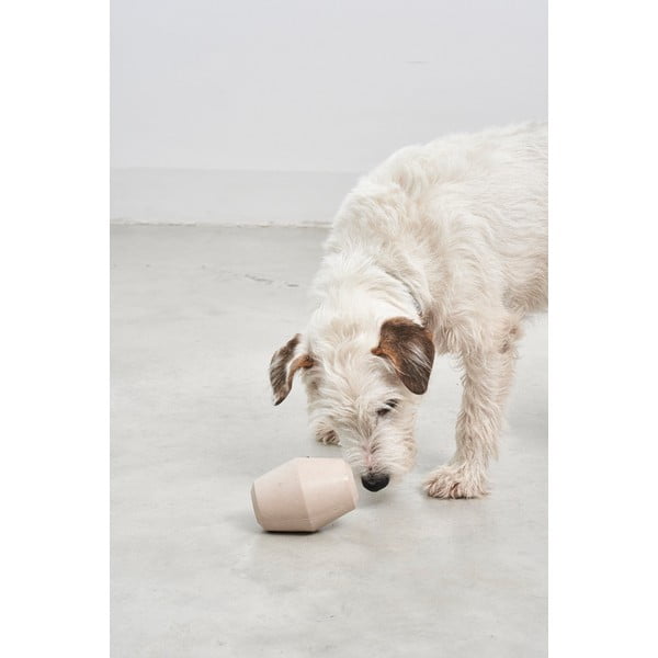 Mänguasi koerale Cono Slate - MiaCara-image-1