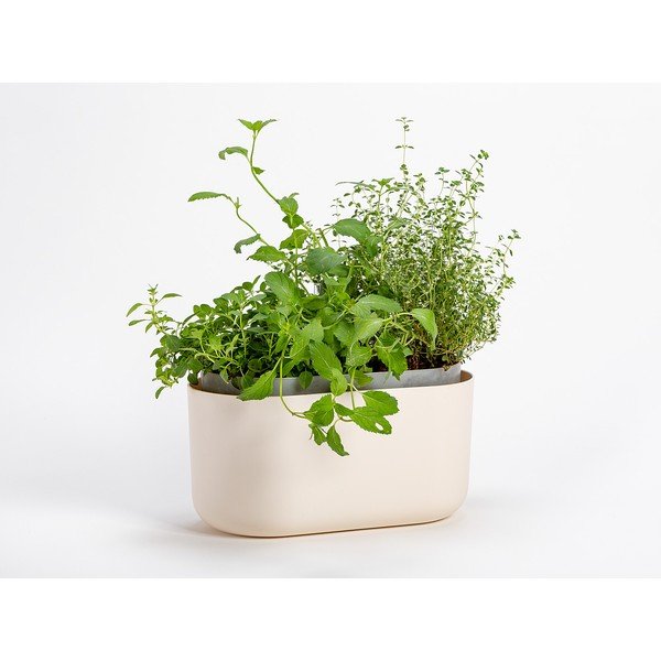 Beež isevoolav istutuskast Tolita - Plastia-image-1