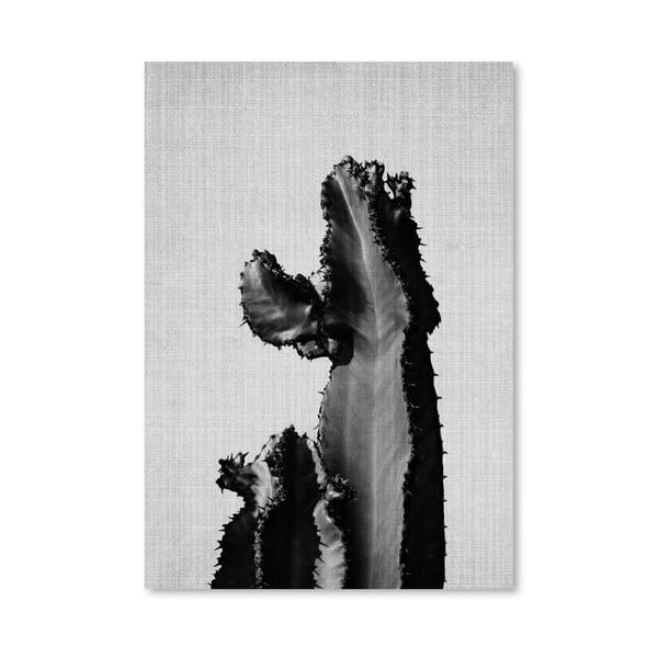 Plakát Cactus On Grey