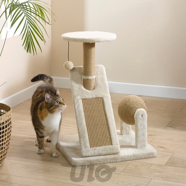 Kassi puhkeala Nomade - Love Story-image-1