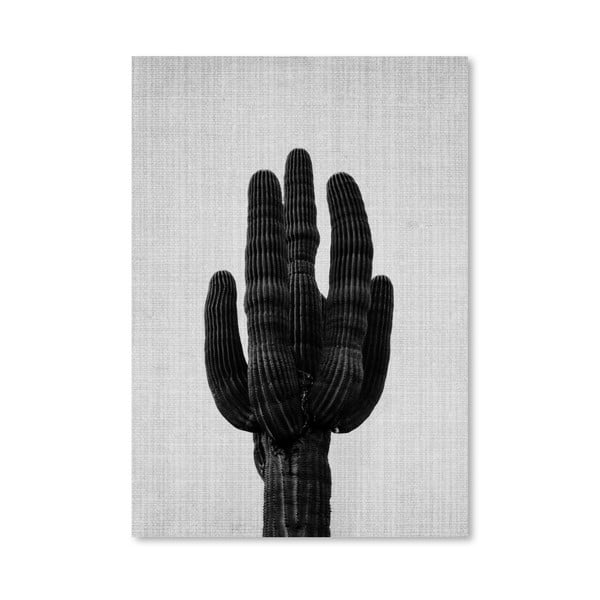 Plakát Cactus Grey