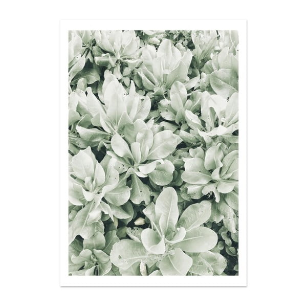 Plakát HF Living Botanic Greenery, 21 x 30 cm