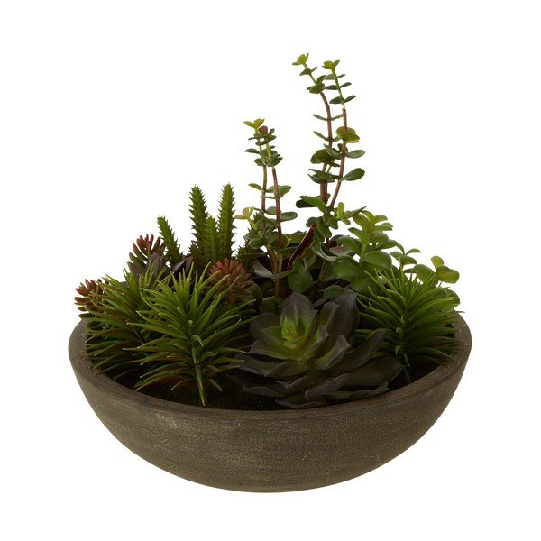 Umělý sukulent v květináči Premier Housewares Fiori-image-1