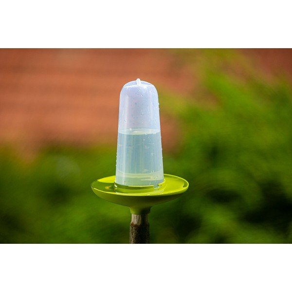 Roheline linnusöötja ja linnusöötja Robin - Plastia-image-1
