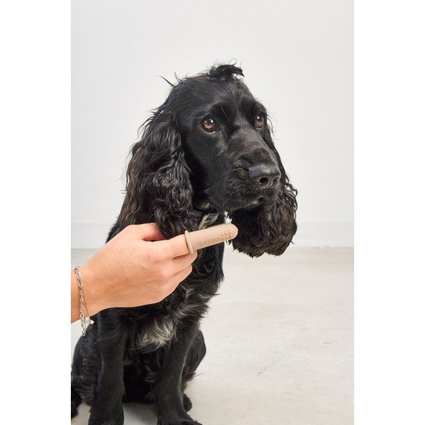 Lemmiklooma hambaharjade komplekt Dito – MiaCara-image-2