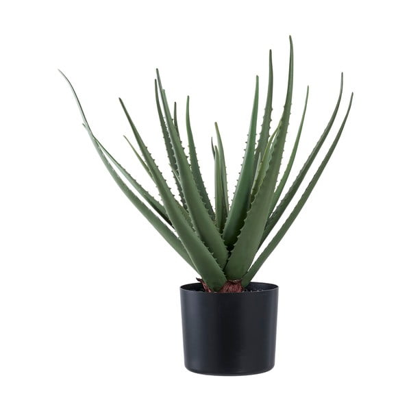 Kunsttaim (kõrgus 51 cm) Aloe Vera - House Nordic