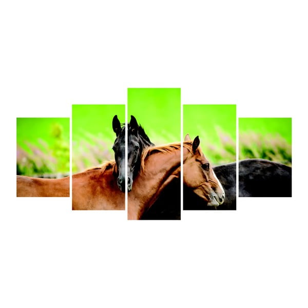 Vícedílný obraz La Maison Des Couleurs Horses