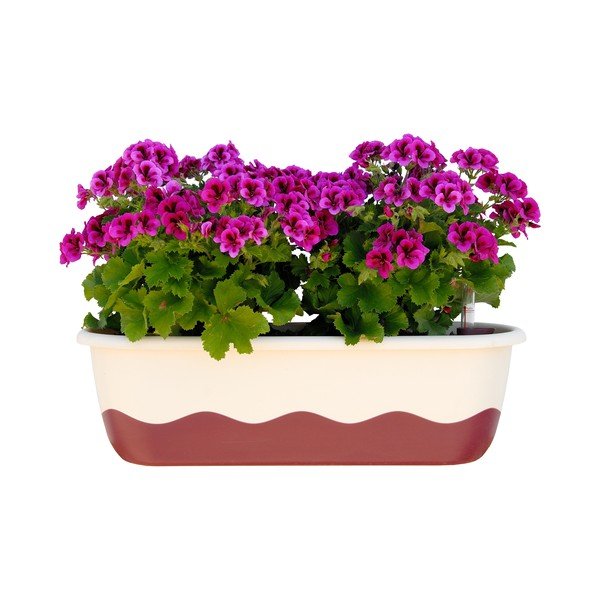 Valge ja roosa isevoolav istutuspott Mareta, pikkus 60 cm - Plastia-image-1