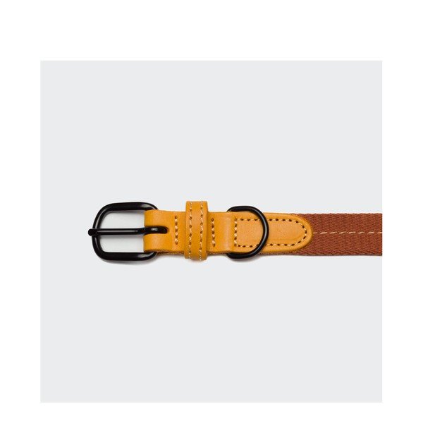 Ookerkollane kaelarihm L pikkus 43 cm Madeira – Cloud7-image-1