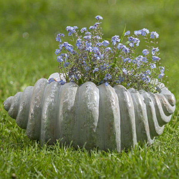 Zahradní květináč ve tvaru lastury Boltze, délka 35 cm