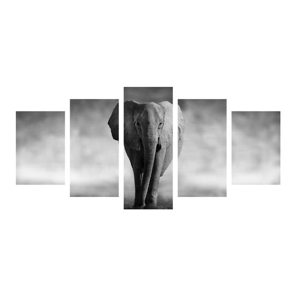 Vícedílný obraz Black&White Elephant
