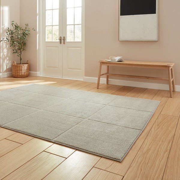 Helehall vaip 120x170 cm Elio Silver - Think Rugs-image-2