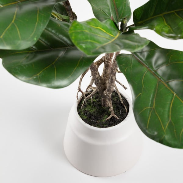 Kunstlik viigipuu, kõrgus 60 cm Lyrata – Kave Home-image-1