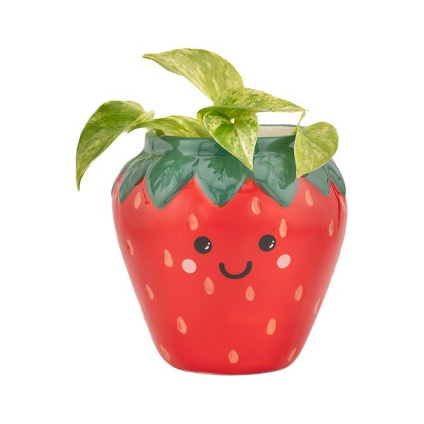 Keraamiline kaas lillepotile ø 10 cm Strawberry - Sass & Belle-image-1