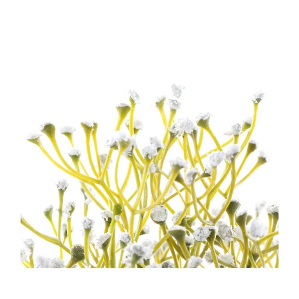 Kunstlik taim (kõrgus 27 cm) Babi - Restilo-image-2