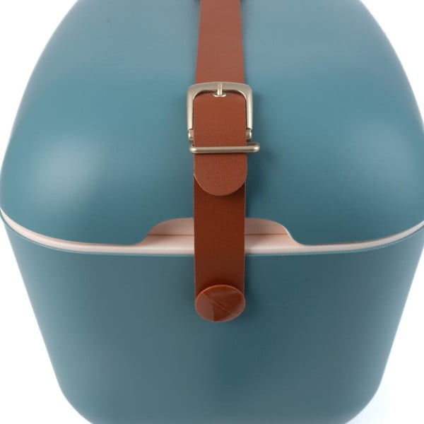 Petrooleumivärvi jahutuskast 12l Classic - Polarbox-image-3