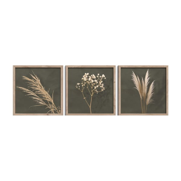 Maalid 3tk komplektis 30x30 cm Pampas – Styler