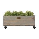 Männipuidust kirst ratastel , laius 59 cm - Esschert Design