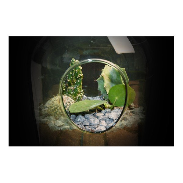 Aerarium avatud , 3 l - Esschert Design-image-1