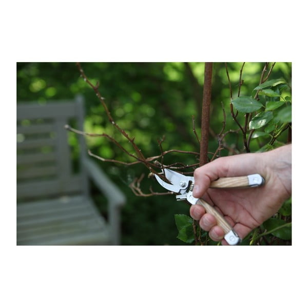 Multifunktsionaalne tuhkapuu oksakäärid Pond - Esschert Design-image-2