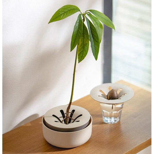 Plastikust idanemisnõu ø 16 cm Regrow – Plastia-image-1