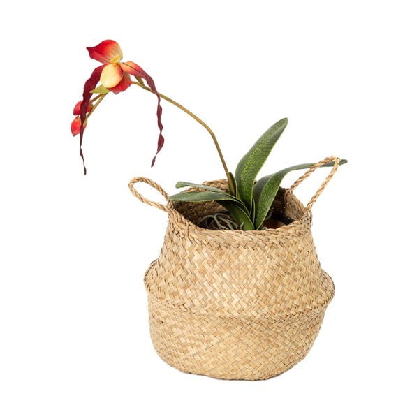 Kerge seagrassist korv , ⌀ 27 cm - Compactor-image-3