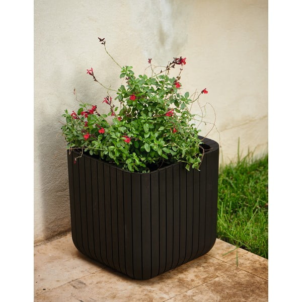 Plastikust lillepott Cube - Keter-image-1