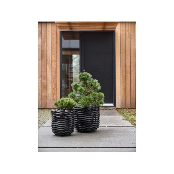 Rotangist lillepotid 2tk komplektis ø 52 cm Vilda - Villa Collection-image-3